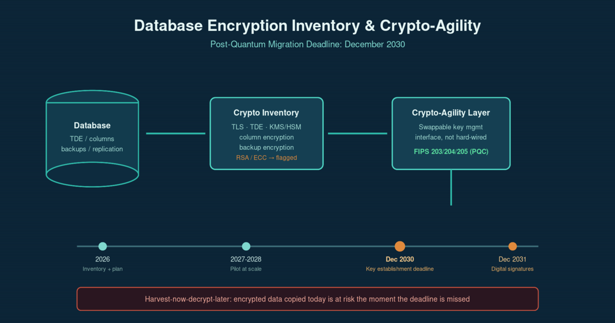 Diagram showing a database encryption inventory feeding a crypto-agility layer that can swap TDE, column-level, and backup encryption algorithms without re-architecting the database, positioned against a compressed 2030 post-quantum migration deadline